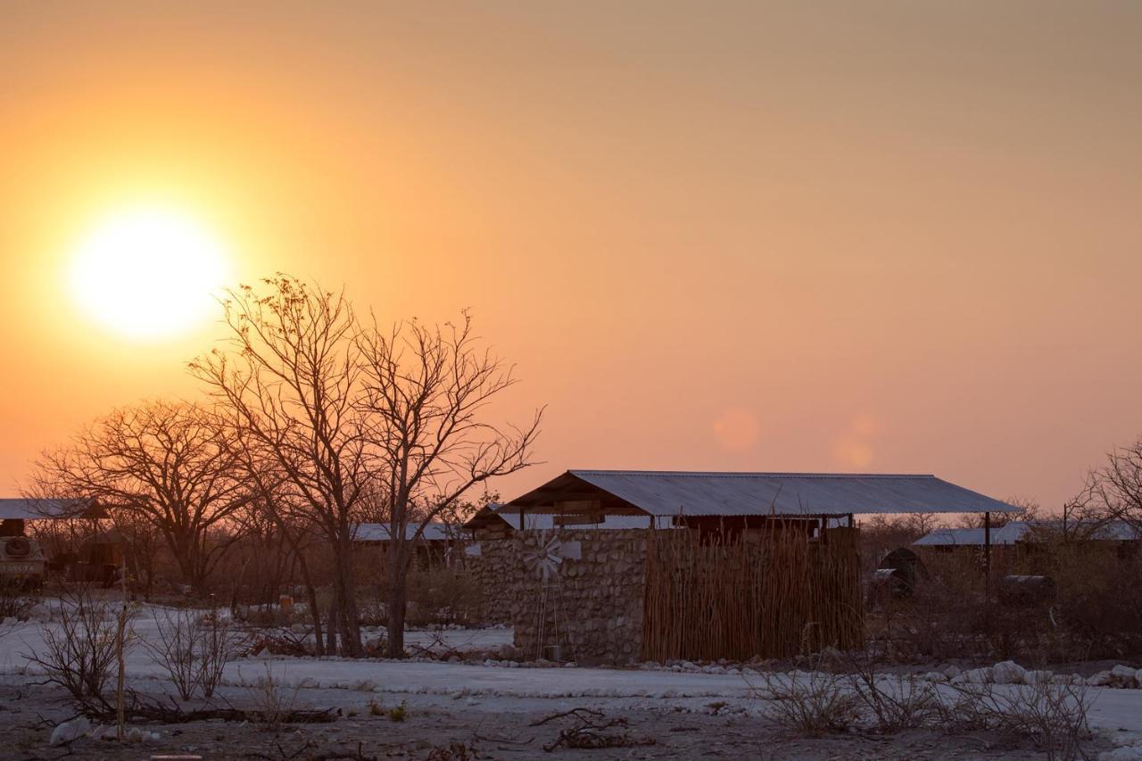Etosha Trading Post Campsite Okaukuejo Kültér fotó